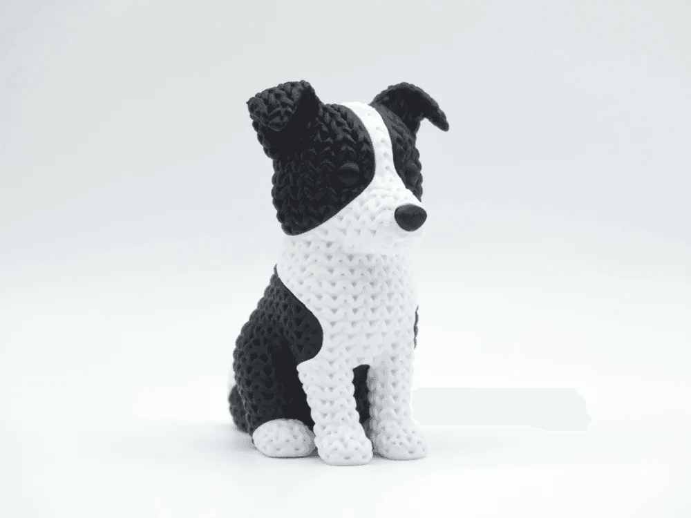 Border Collie Dog