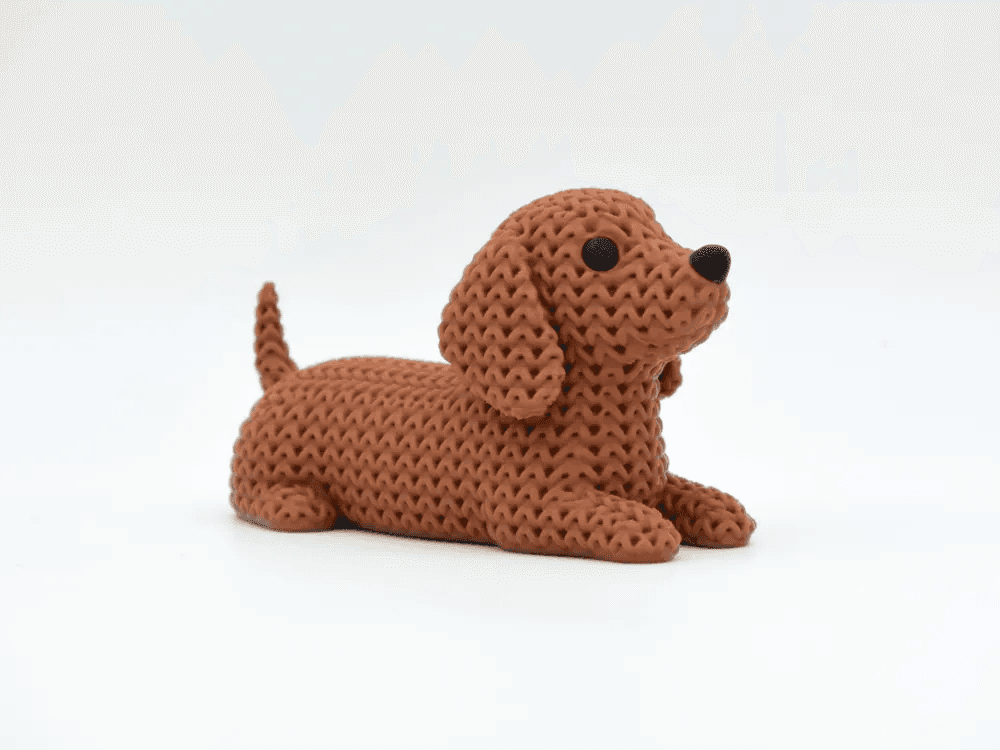 Dachshund Dog